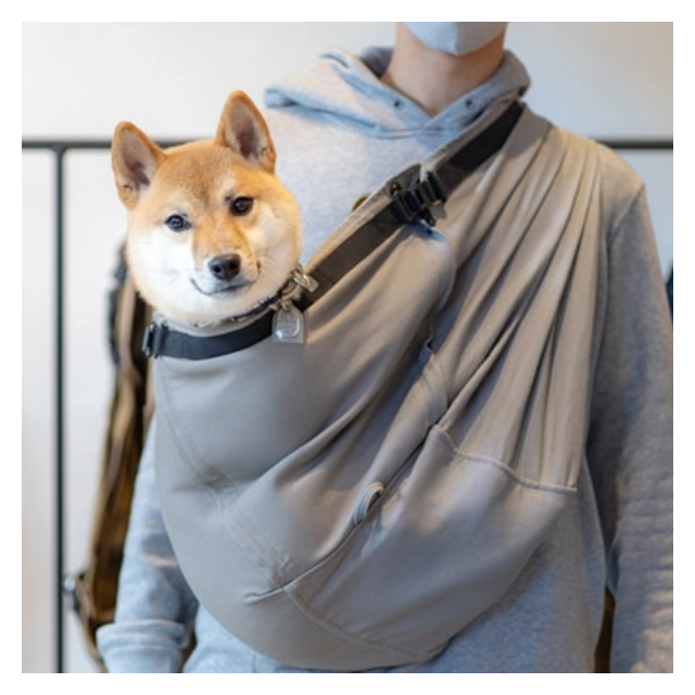 日向ちゃん