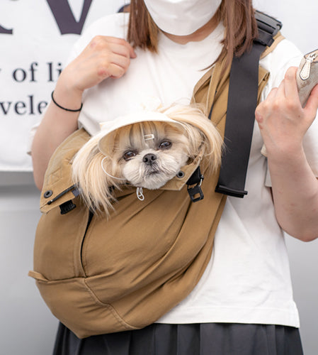 りんちゃん