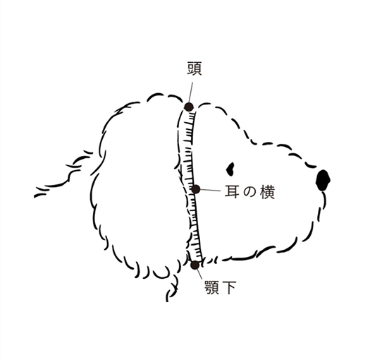 スヌードの測り方