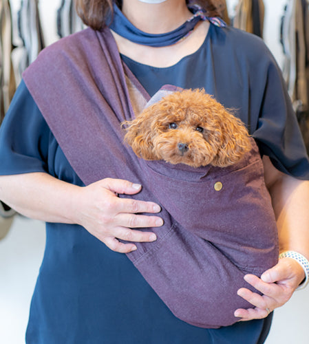 COMOちゃん