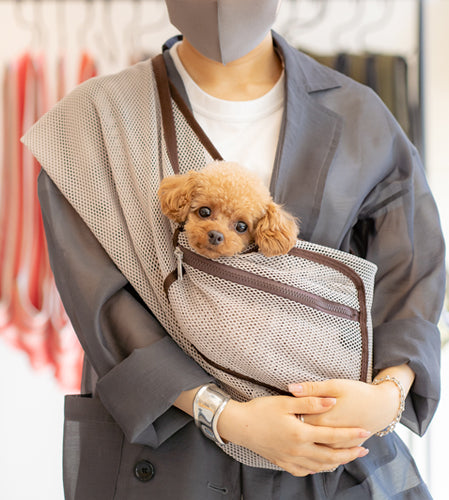 あおちゃん