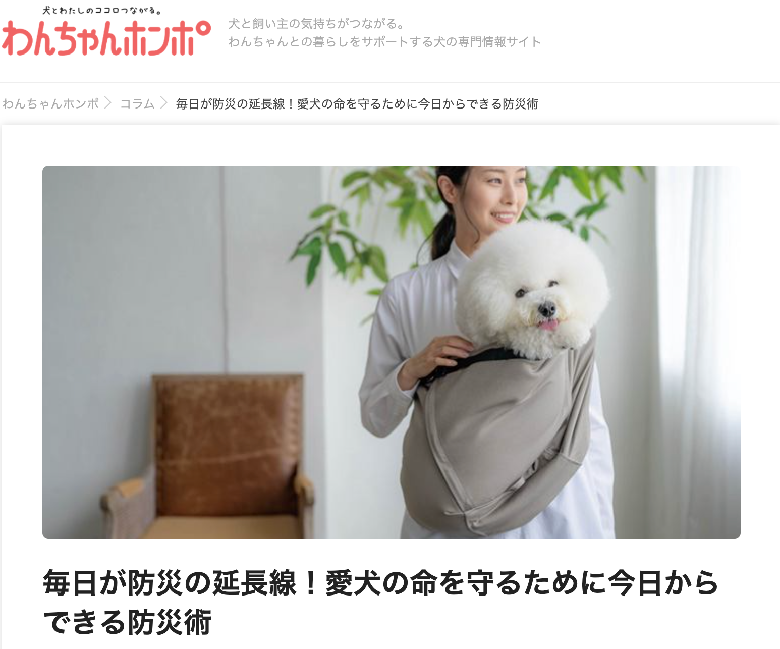 わんちゃんホンポ防災